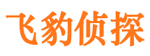 江西外遇调查取证